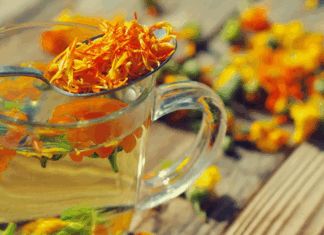 Té de cempasúchil: beneficios, propiedades y usos de la flor emblemática del Día de Muertos