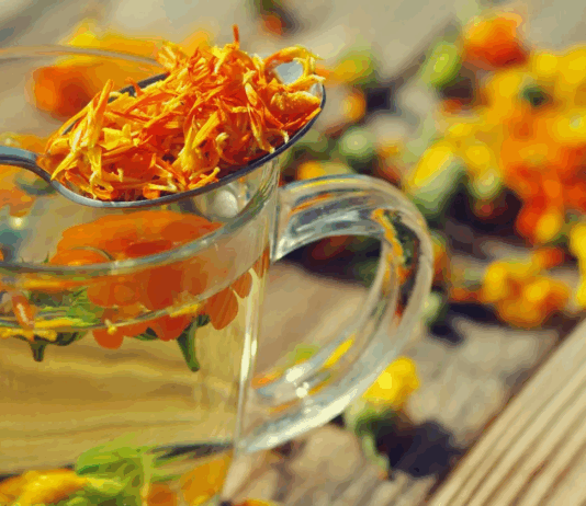 Té de cempasúchil: beneficios, propiedades y usos de la flor emblemática del Día de Muertos