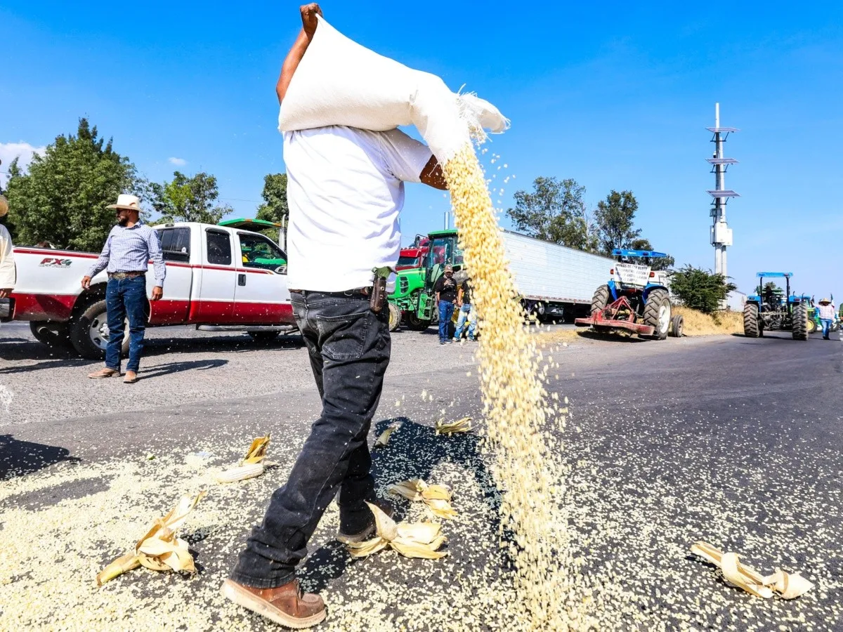 Agricultores exigen $7,200 por tonelada de maíz