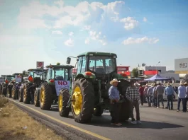Agricultores exigen $7,200 por tonelada de maíz Agricultores exigen $7,200 por tonelada de maíz