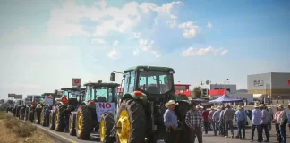 Agricultores exigen $7,200 por tonelada de maíz Agricultores exigen $7,200 por tonelada de maíz