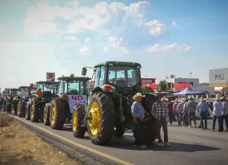 Agricultores exigen $7,200 por tonelada de maíz Agricultores exigen $7,200 por tonelada de maíz