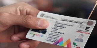 Anuncian una nueva licencia de conducir en CDMX Anuncian una nueva licencia de conducir en CDMX