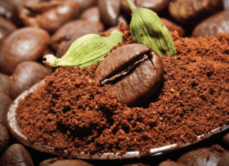 México y su amor eterno por el café: tradición, sabor y futuro sostenible