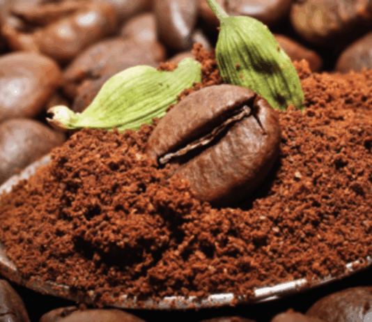 México y su amor eterno por el café: tradición, sabor y futuro sostenible