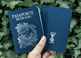 “Pasaporte del Café”: la iniciativa que impulsa la economía y la cultura del café mexicano
