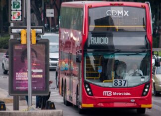 GP de México 2025: Así Funcionará el transporte de la CDMX GP de México 2025: Así Funcionará el transporte de la CDMX