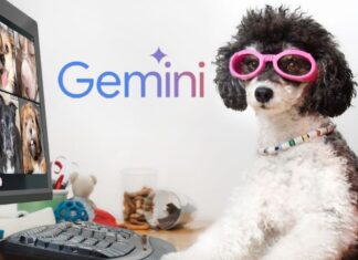 Gemini ha desarrollado IA que otorga voz a los perros Gemini ha desarrollado IA que otorga voz a los perros