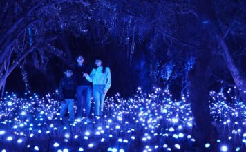 Light Cycles en Chapultepec: la experiencia inmersiva de luces y sonido que transforma la CDMX LIGHT CYCLES en cdmx