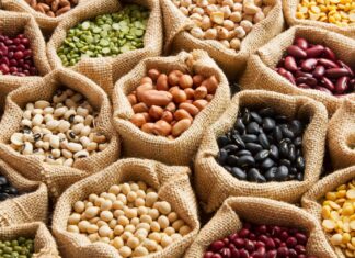 Lentejas vs. Frijoles ¿Qué proteína vegetal es mejor? Lentejas vs Frijoles Qué proteína vegetal es mejor