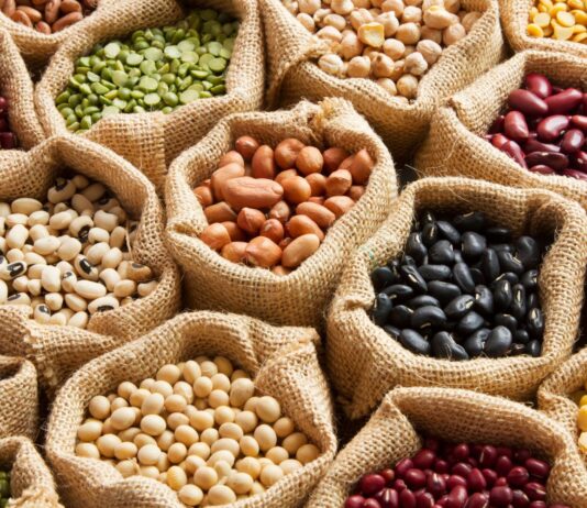 Lentejas vs. Frijoles ¿Qué proteína vegetal es mejor? Lentejas vs Frijoles Qué proteína vegetal es mejor
