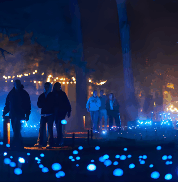 Light Cycles: ¡Una experiencia inmersiva nocturna entre luces y sonidos de la naturaleza! Light Cycles: ¡Una experiencia inmersiva nocturna entre luces y sonidos de la naturaleza