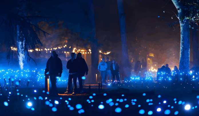 Light Cycles: ¡Una experiencia inmersiva nocturna entre luces y sonidos de la naturaleza