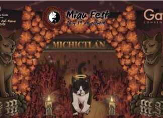 Miau Fest “Michictlán”: el homenaje felino del Día de Muertos que conquista CDMX MICHI
