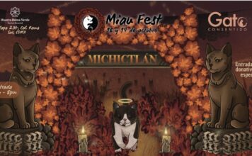 Miau Fest “Michictlán”: el homenaje felino del Día de Muertos que conquista CDMX MICHI