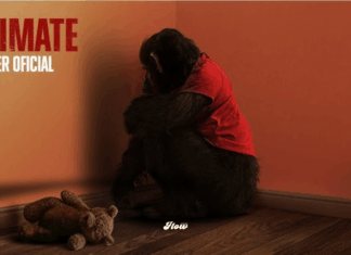 “Primate”: la nueva película de terror con un mono asesino que sorprende al público primate pelicula