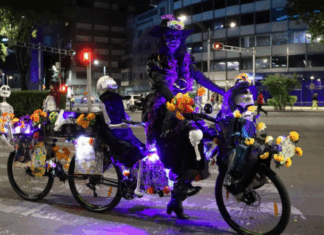 Paseo Nocturno de Día de Muertos en CDMX Paseo Nocturno de Día de Muertos en CDMX