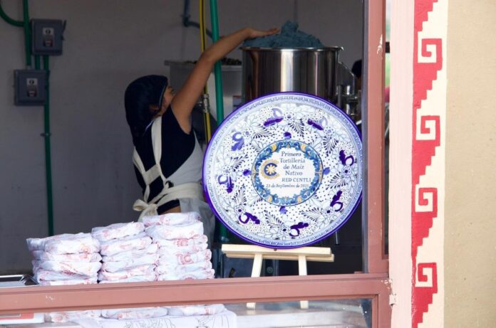 Primera tortillería de maíz nativo en CDMX