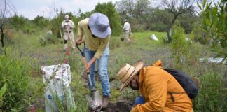 IATI Seguros impulsa la reforestación y el turismo responsable en la CDMX