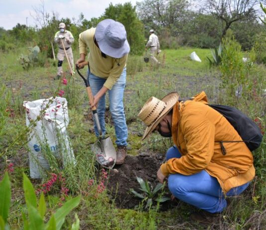 IATI Seguros impulsa la reforestación y el turismo responsable en la CDMX