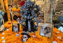 Día de Muertos en San Ángel: una experiencia cultural y sustentable en CDMX Tour del Día de Muertos en San Ángel