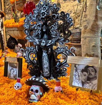 Día de Muertos en San Ángel: una experiencia cultural y sustentable en CDMX Tour del Día de Muertos en San Ángel