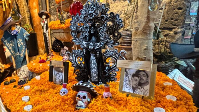 Tour del Día de Muertos en San Ángel