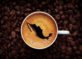 Comprar café cultivado en México: una elección que impulsa la economía local y protege el futuro del campo