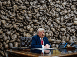 Aranceles de Trump al café colombiano: impacto político, económico y el mensaje de Petro sobre el “enemigo equivocado”
