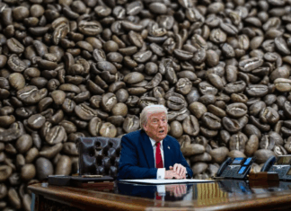 Aranceles de Trump al café colombiano: impacto político, económico y el mensaje de Petro sobre el “enemigo equivocado”