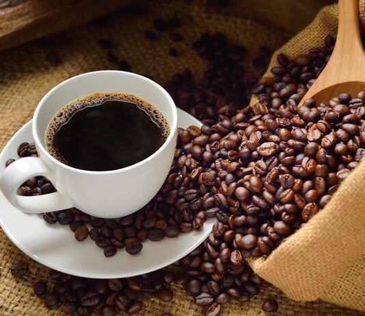Café de Jalisco conquista mercados internacionales: tradición y calidad desde la Sierra Madre