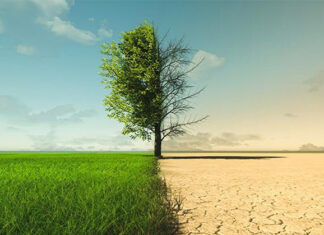 Calor extremo y aire tóxico: el cambio climático ya está cobrando vidas humanas