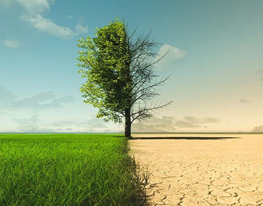 Calor extremo y aire tóxico: el cambio climático ya está cobrando vidas humanas