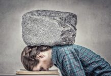 Estrés, memoria y la ciencia del bienestar: cómo la vida moderna inflama el cerebro