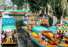 Festival biocultural de Día de Muertos en Xochimilco promueve tradición ambiental evento biocultural xochimilco