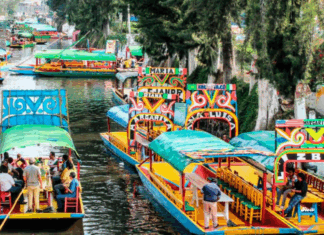 Festival biocultural de Día de Muertos en Xochimilco promueve tradición ambiental evento biocultural xochimilco