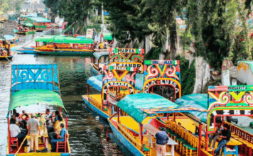 Festival biocultural de Día de Muertos en Xochimilco promueve tradición ambiental evento biocultural xochimilco