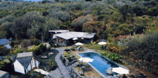 Regular el alojamiento turístico en CDMX: el desafío de equilibrar vecinos y visitantes