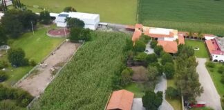 Propiedades de los boxeadores mexicanos mejor pagados en 2025 impacto economico boxeo mexico