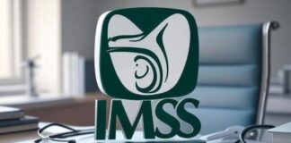 La Suprema Corte obliga al IMSS a eliminar requisito y abre pensión vitalicia a mujeres imss pension