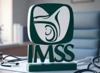 Millones de pensionados del IMSS e ISSSTE no recibirán aguinaldo 2025 imss pension