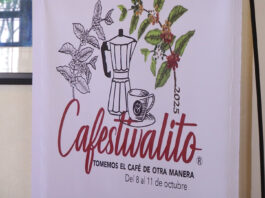 Zacatecas celebra el sabor y el arte del café con el Cafestivalito 2025