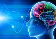 Ondas cerebrales “como las del sueño” persisten tras cirugías de epilepsia: un hallazgo que cambia lo que sabemos sobre el cerebro