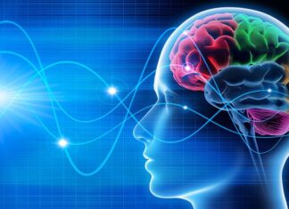 Ondas cerebrales “como las del sueño” persisten tras cirugías de epilepsia: un hallazgo que cambia lo que sabemos sobre el cerebro