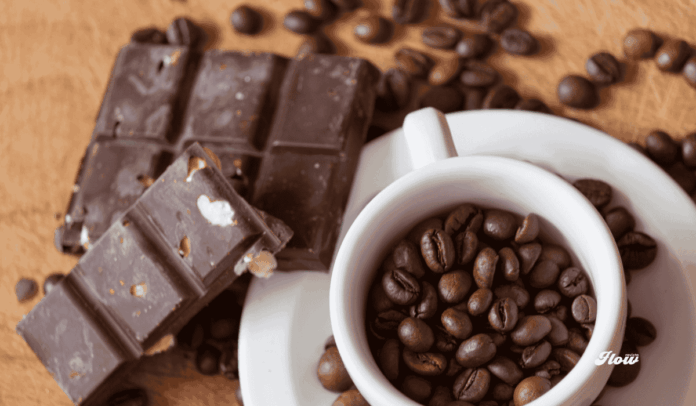 Café & Chocolate Fest