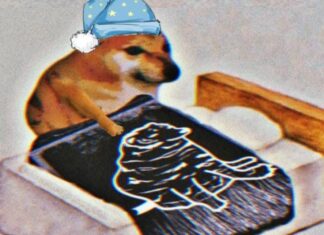 Del internet al museo: la revolución literaria de Cheems en CDMX Del internet al museo la revolución literaria de Cheems en CDMX