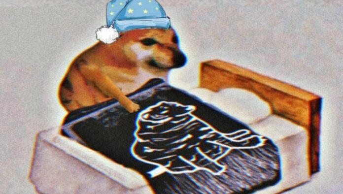 Del internet al museo la revolución literaria de Cheems en CDMX