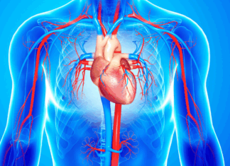 Diez claves científicas para proteger tu salud cardiovascular, según los expertos