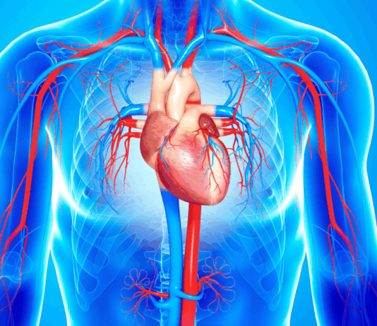 Diez claves científicas para proteger tu salud cardiovascular, según los expertos