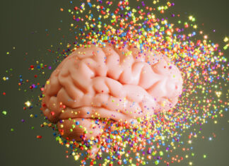 Tu cerebro envejece en etapas: así cambia su estructura y funciones con el paso del tiempo